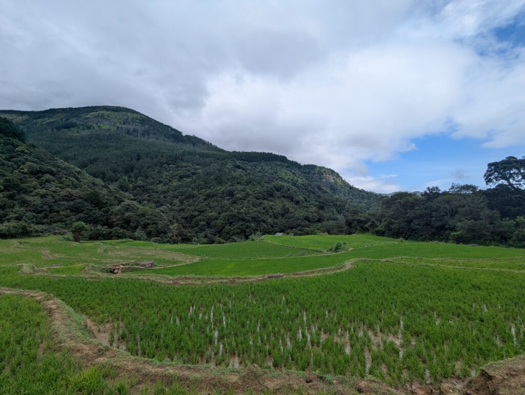 Join our Manigala hike and explore Walpolamulla, South Asia’s smallest village. Scenic views, culture, and adventure await this April 20th. Limited spots!